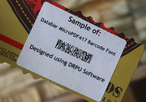 Databar MicroPDF417 Barcode Size