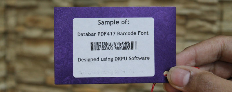 Databar PDF417 Barcode Data Verification