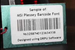 MSI Plessey Barcode Limitations MSI Plessey Barcode Limitations