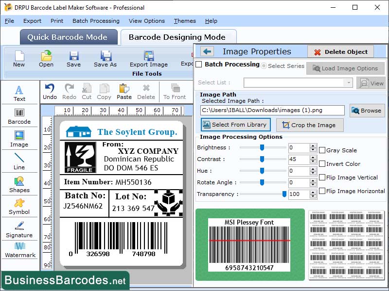 Screenshot of MSI Plessey Barcode Printing Tool