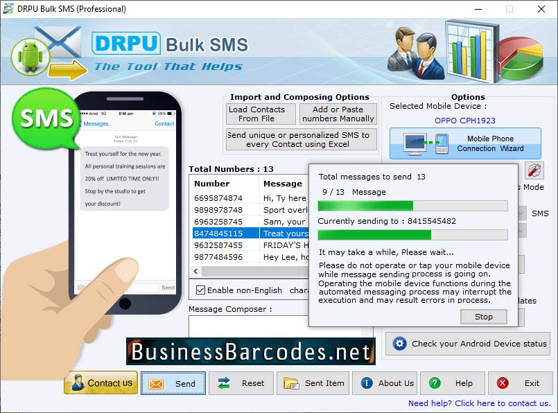 Screenshot of Bulk SMS Service Processing Tool